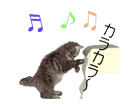 ▶動くCGねこさん（キジトラ）