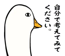 あひるさんの9