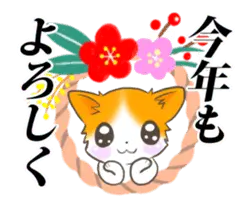 おめでたいワンコ