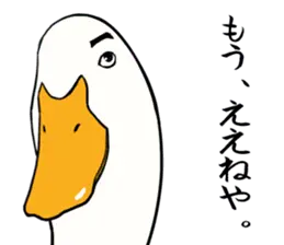 あひるさんの8