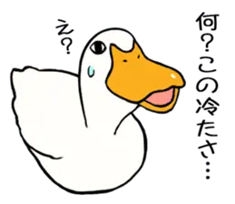 あひるさんの8
