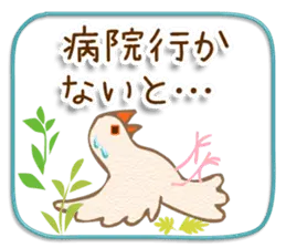 文鳥病院＊通院編