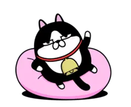 動く 擦れねこ（ハチワレ）
