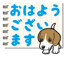 わんこ日和 ビーグル こいぬ vol.8