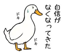 あひるさんの8