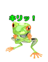 動く！カエルのオリバくん。