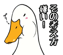 あひるさんの9