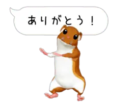 吹き出しで暴れる★ハムスター★