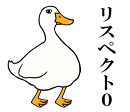あひるさんの8