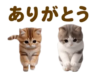 動く！ネコたち！にゃんだふる～