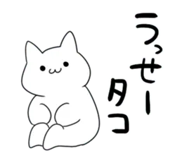 やつ当たりをする素直な猫