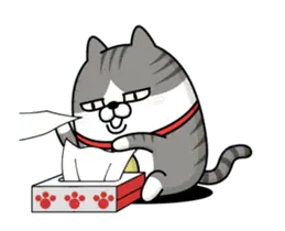 動く 擦れねこ2（サバトラ）