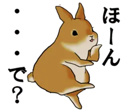 ちょっとむかつくうさぎ
