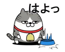 動く 擦れねこ（サバトラ）