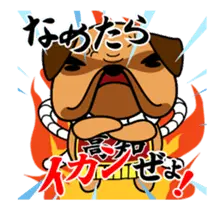 動くぜよ！土佐犬がおったとさ