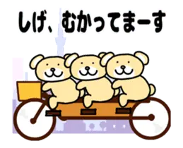 動く！しげと申しますっ！！