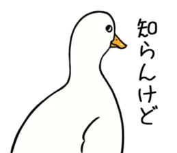 あひるさんの8