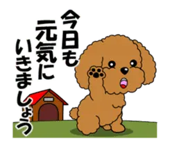 動く！きまじめトイプーの応援