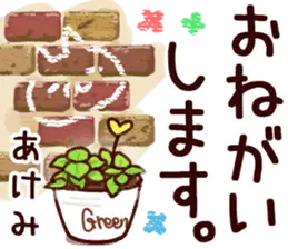【あけみ】専用11