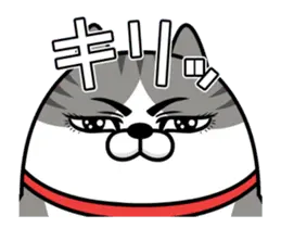動く 擦れねこ（サバトラ）