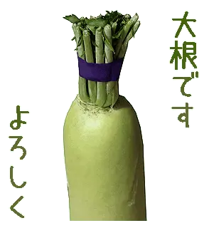 大根。