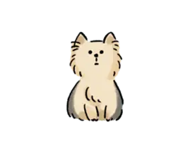 うちのこと。