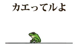 動く！アマガエルくん