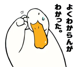 あひるさんの8