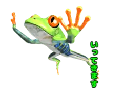 動く！カエルのオリバくん。