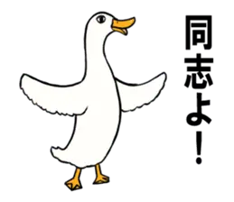 あひるさんの8