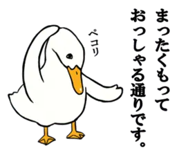 あひるさんの8