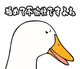 あひるさんの9
