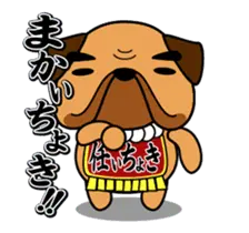動くぜよ！土佐犬がおったとさ