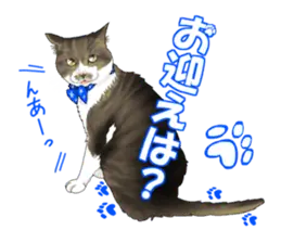 猫と犬の日常スタンプ