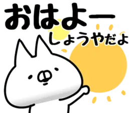 【しょうや】専用
