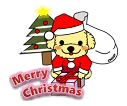 トイプーみるくちゃんの[Xmas & 年末年始]
