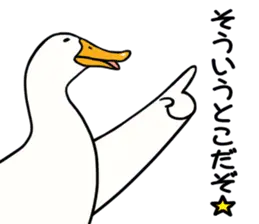 あひるさんの8