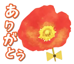 春スタ