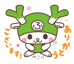 ふっかちゃん基本セット