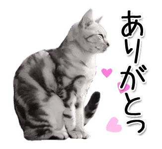 動く！ハイテンションにゃんこ2