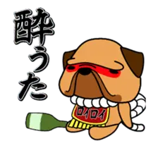 動くぜよ！土佐犬がおったとさ