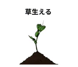 「草生える」の色々な言い方