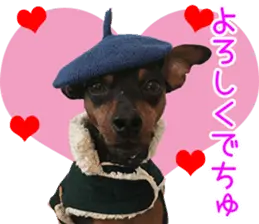 レディGabiちゃんのごあいさつ