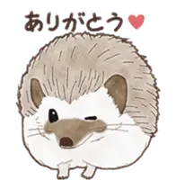 動くよ！はりねずみで日常会話