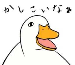 あひるさんの9