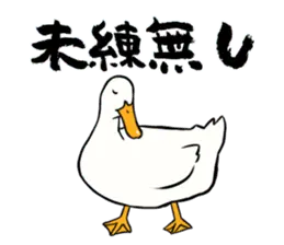 あひるさんの9