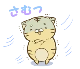 とらまめの冬
