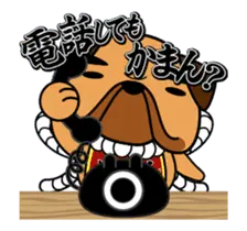 動くぜよ！土佐犬がおったとさ