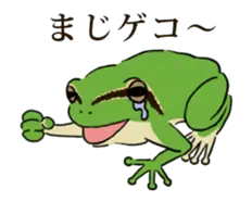 動く！アマガエルくん