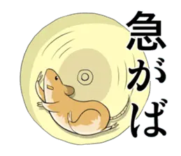 ことわざ